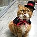 Legendog Pet Cloak Costumes Dog Funny Clothes Cute Cosplay Vampire Cloak Cape for Small Dogs Cats Halloween Clothing