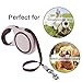 SlowTon Retractable Dog Leash, 16ft Walking Jogging Training Leash with Polyester Tape for Small Medium Dog up to 50lbs, with Hand Grip and One Button Brake & Lock (Pink)