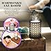 Odoga Aromatherapy Essential Oil Diffuser with Decorative Iron Cover, 100 ml Ultrasonic Quiet Cool Mist Humidifier with Warm White Color Candle Light Effect, Remote Control & Low Water Auto Shut-Off