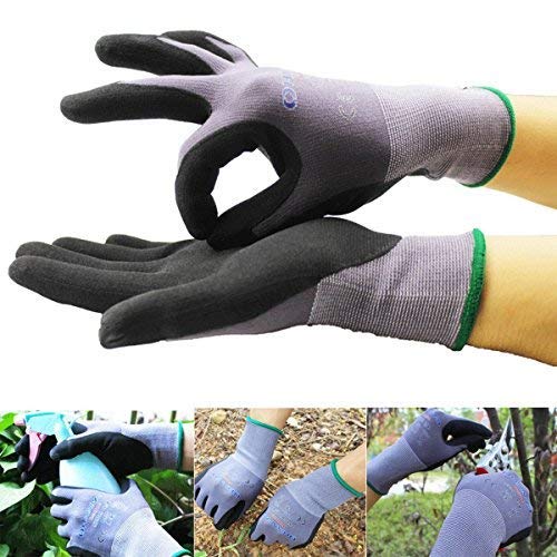 Assyrian Shielding - Outdoor Garden Protective Glove Wear Resistant Breathable Housekeeping Mechanical - Custodial Cautionary Guardian Covering Contraceptive Preservative