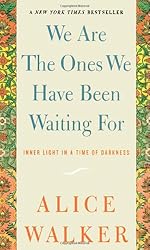 We Are the Ones We Have Been Waiting for: Inner Light in a Time of Darkness