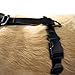 Kurgo Tru-Fit Smart Dog Walking Harness - Comfortable Fit - Adjustable Harness - Reflective Pet Wear - Quick Strap Release - Daily Walk Accessory - Includes Seat Belt Loop - Black - X-Small