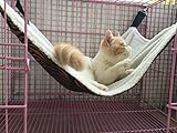 UsefulThingy Cat Hammock. Also for Ferret, Rat, Chinchilla, Rabbit, Small Dogs or Other Pet. Easy to Attach to a Cage. 3 Designs: Tiger