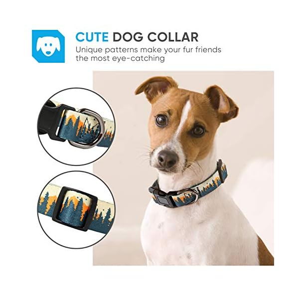 dog collars pet barn