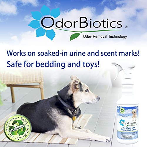 image for OdorBiotics Pet Stain & Odor Remover - Use for Dog Bedding Playpens Cr