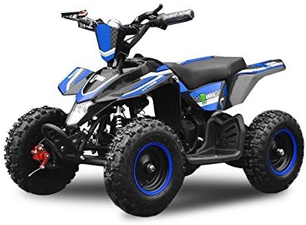 800w quad bike