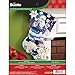 Bucilla 18-Inch Christmas Stocking Felt Applique Kit, Arctic Santa, Red, White, Green, Yellow