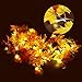 Anpro 30 LED 11.2 Ft Fall Decorations Lights - Thanksgiving Decor Fall Garland Leaves Fall Lights String, Autumn Garland - Battery Powered,Warm White