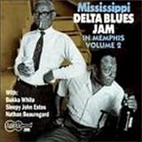 MISSISSIPPI DELTA BLUES JAM MEMPHIS 2              image