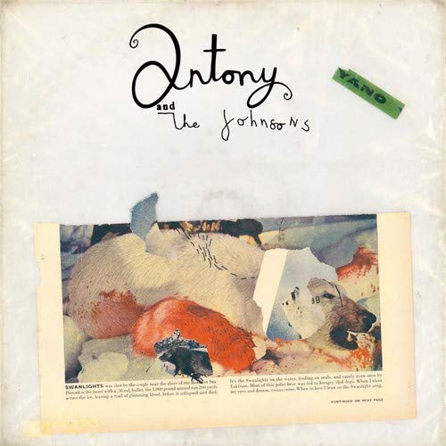Swanlights : Antony, The Johnsons: Amazon.fr: Musique