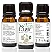 Biofinest Garlic Essential Oil - 100% Pure Organic Therapeutic Grade - Best for Aromatherapy & Massage - A Natural Healing Agent - Free E-Book (10ml)