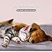 JoicyCo Dog Bed Crate Pad Mat Soft Mattress 42 in Non-Slip Washable Pet Dog Beds for Large Dogs Kennel Pad, Lilac Grey L