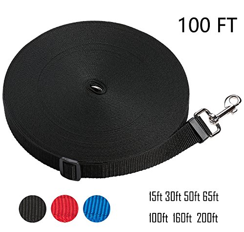 100 ft retractable leash