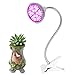 Morsen LED Grow Light 50W Clip Desk Lamp Full Spectrum with 360 Degree Flexible Gooseneck Light for Office, Home, Indoor Garden Greenhouse