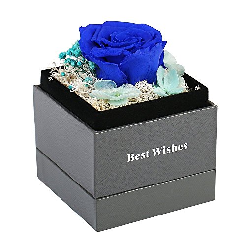 Handmade Preserved Flower Rose - Preserved Fresh Flower Eternity Rose, Never Withered Real Rose, Gift for Valentine's Day, Mother's Day, Thanksgiving Day, Christmas, Birthday, Anniversary (Blue) - Thumbnail 7