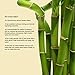 Linenwalas Premium 100% Viscose Derived from Bamboo King Size Sheet Set - Ultra Soft, Breathable & Cooling, Ideal for Hot Sleepers, 16