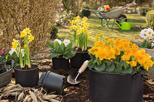 1 Delxo+20+Pack+Aeration+Thickened+Nonwoven