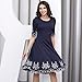 Miusol Women's Casual Scoop Neck Embroidered Party Swing Dress