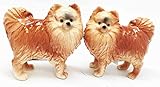 1 X Pom Pom Golden Groomed Pomeranian Attractives Magnetic Salt Pepper Shakers