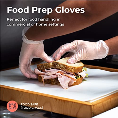 Fit Meal Prep 100 Pack Gloves Disposable Latex Free Large Disposable