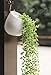 Moyishi Mini Decorative Ceramic Hanging Planter Flower Pot Water Planter Plant Vase (White1)