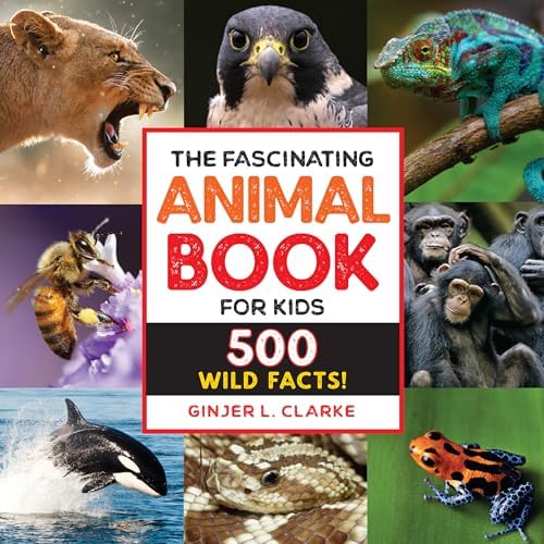 Amazon.com: Sad Animal Facts: 9781250095084: Barker, Brooke: Books