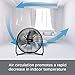 PELONIS FE50-18N 3-Speed Air Circulator, Heavy Duty High Velocity Black, 20 Inch Metal Floor Fan