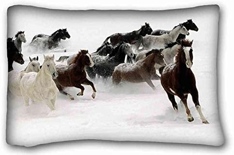 Generic Personalized ( Animals horse herds running snow ) Standard Size Pillowcase for Hair &amp; Facial Beauty Size 20x30 Inches suitable for King-bed PC-Orange-32874