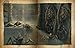 The Elder Scrolls Online: Tales of Tamriel, Book I: The Land