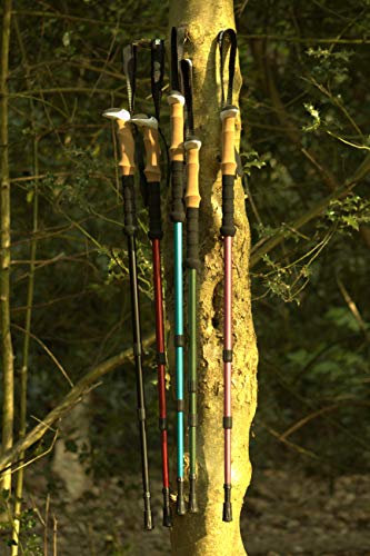 muddy bear trekking pole