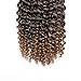 3 pcs/pack Crochet Curly Hair Extensions 8 Inch Synthetic Crochet Box Braids Hair (#1/27)