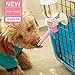 Heydou Pet No Drip Dog Water Bottle, Small-Medium Sized Dog&Cat Water Feeder,Leak-Proof Pet Drinker for Cage&Kennel (Pink)