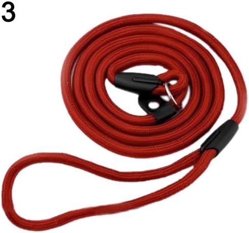 Q4 Slip Lead Dog Leash; Rope Dog Leashes for Small & Medium Dogs. Slip Rope for No Pull Dog Training. 1.3M