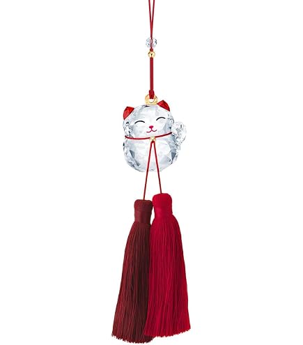 Amazon.com: Asian Symbols Tiger : Home & Kitchen
