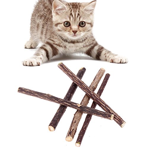 5Pcs Pure Natural Catnip Pet Cat Molar Toothpaste Stick Cat Cleaning Teeth Pet Cat Molar Toothpaste Stick Cat Snacks Sticks