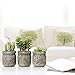 MyGift Set of 3 Realistic Artificial Green Succulent Plants in Rustic Gray Round Mason Jar Style Planter Pots