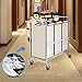 Simple Trending 3-Bag Laundry Hamper Sorter Cart with Heavy Duty Rolling Wheels and Removable Bags, Chrome