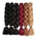 Lady Corner Ombre Braiding Hair 24inch Jumbo Braids High Temperature Fiber Synthetic Hair Extension 5pcs/Lot 100g/pc for Twist Braiding Hair (24inch(Pack of 5), Strawberry Blonde)
