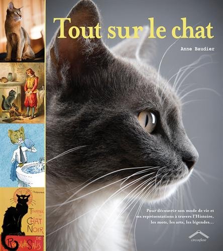 Tout sur le chat by Anne Baudier