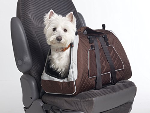 Jet set pet carriers with isofix-latch connection