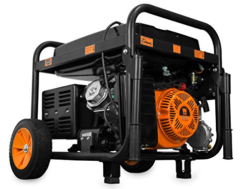 WEN DF1100 11,000-Watt 120V/240V Dual Fuel Portable Generator with