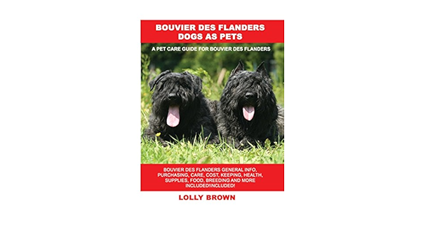 bouvier cost