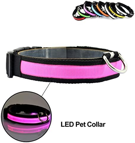 USB Rechargeable LED Dog Collar with Adjustable and Waterproof for Small Large Medium Dogs