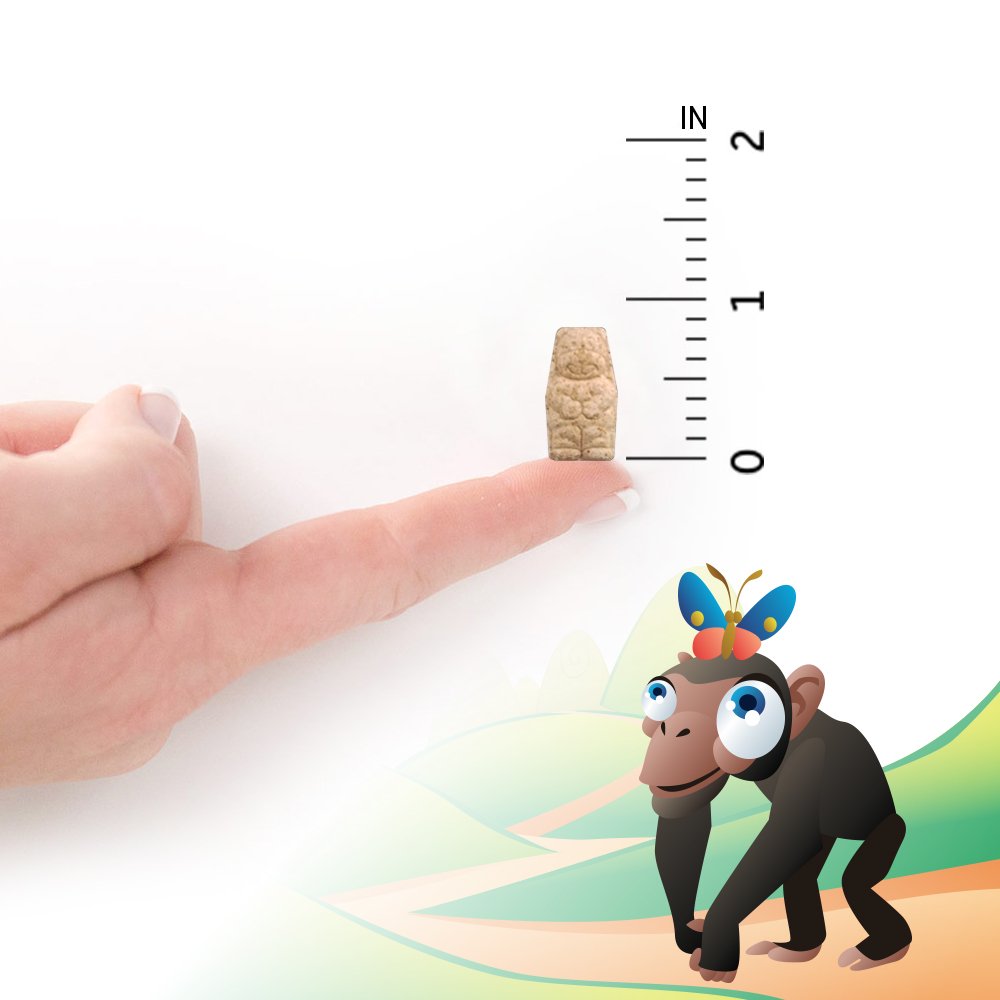 Garden of Life Vegetarian Multivitamin Supplement for Kids - Vitamin Code Kids Chewable Raw Whole Food Vitamin with Probiotics, 30 Chewable Bears