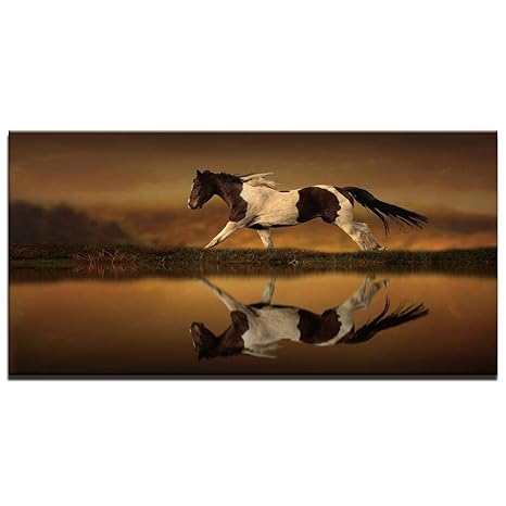 Amazon.com: LXDCPP - 1 panel de lienzos para pared, diseño ...