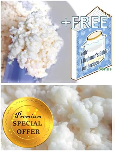 MOUNTAINT 1 Tbsp whole milk kefir grains organic live active + free ebook