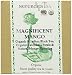 SerendipiTea Magnificent Mango, Organic Indian Black Tea and Organic Mango, 4 Ounce Boxes