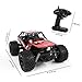 RC Cars for Kids, Remote Control Cars Rock Crawel Off-Road 1:20 Scale 2.4Ghz 2WD Powerful High Speed Monster Truck Race Buggy Hobby Car, Toys for Kids and Adults