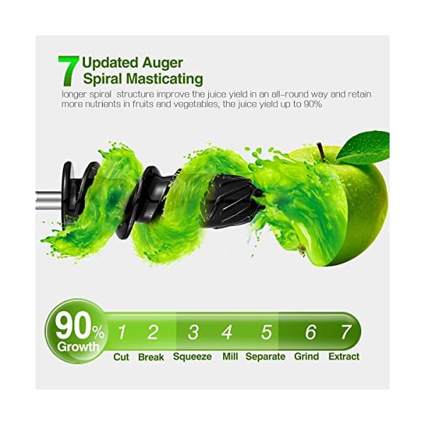 AMZCHEF Juicer Machines - Cold Press Slow Juicer - Masticating Juicer for Whole Fruits and Vegetables - Delicate Chew No…