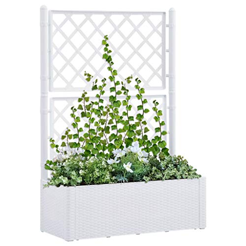 vidaXL Garten Hochbeet mit Spalier Selbstbewässerungssystem Rattan-Design Gartenspalier Blumenkübel Pflanzkasten… – Bild 3